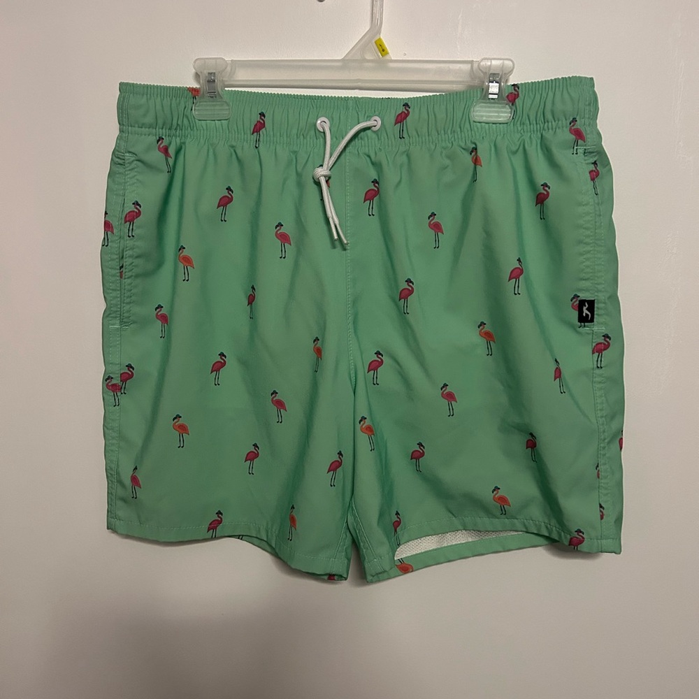 Hollister Mint Green Flamingo Swim Trunks